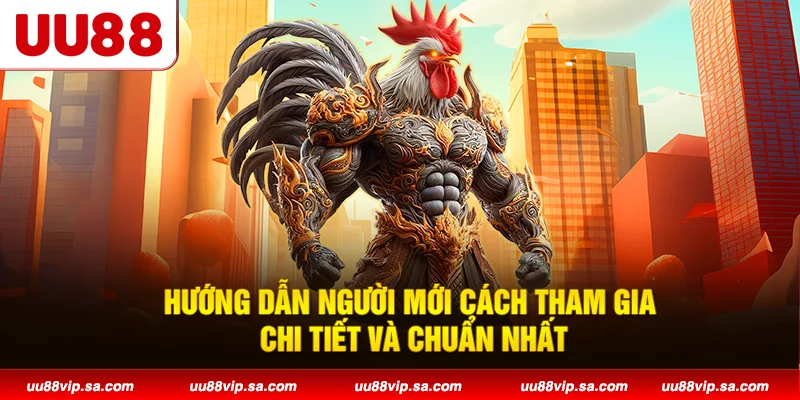 Hướng dẫn người mới cách tham gia chi tiết và chuẩn nhất